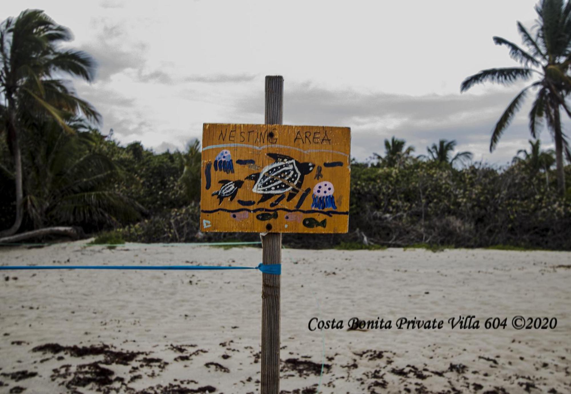 Costa Bonita Private Villa 604 Isla Culebra Exteriér fotografie